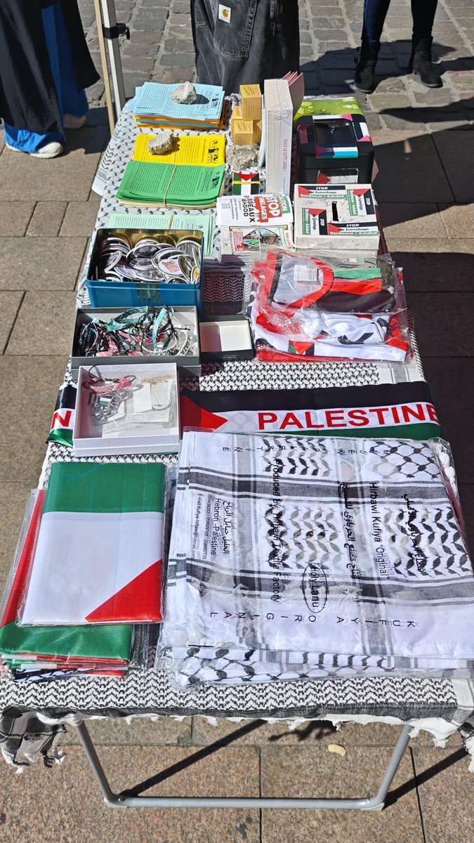 Comité Action Palestine tweet media