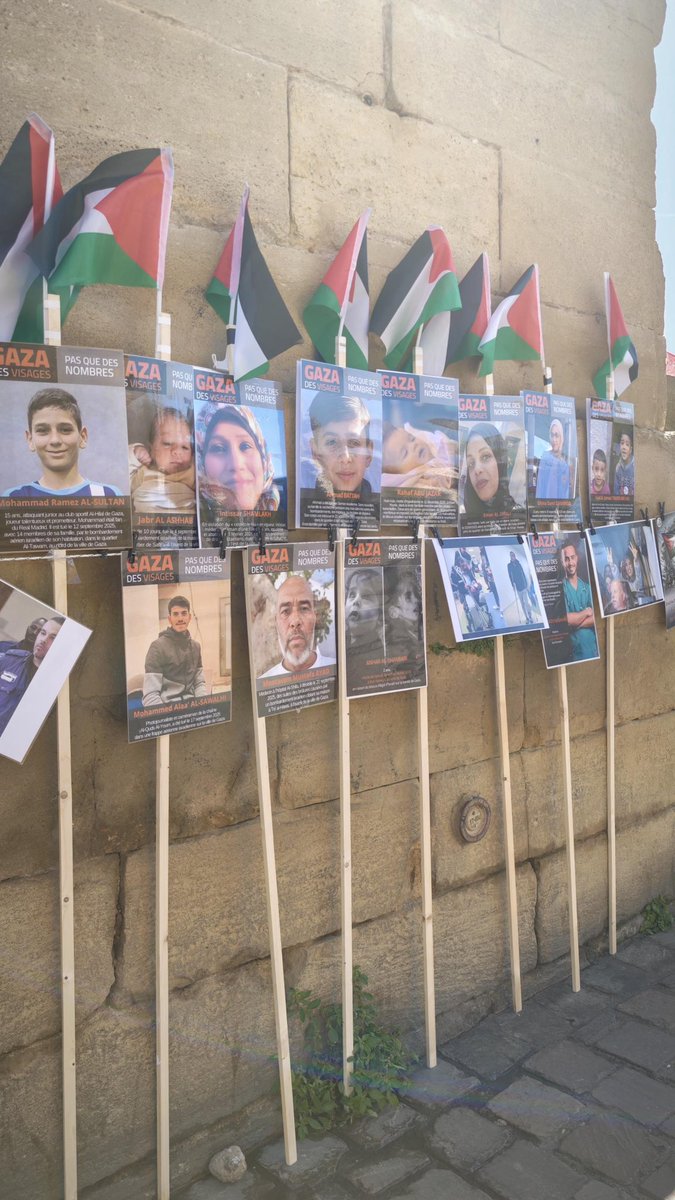 Comité Action Palestine tweet media