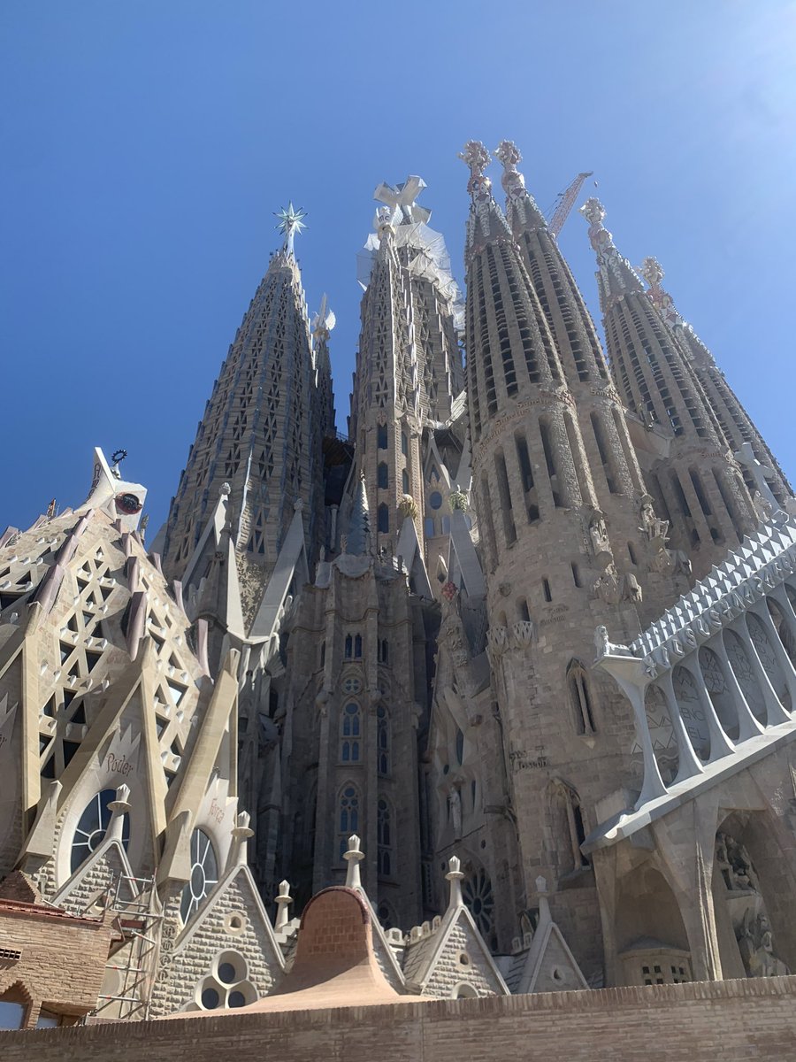 Gabriela gabry tweet media