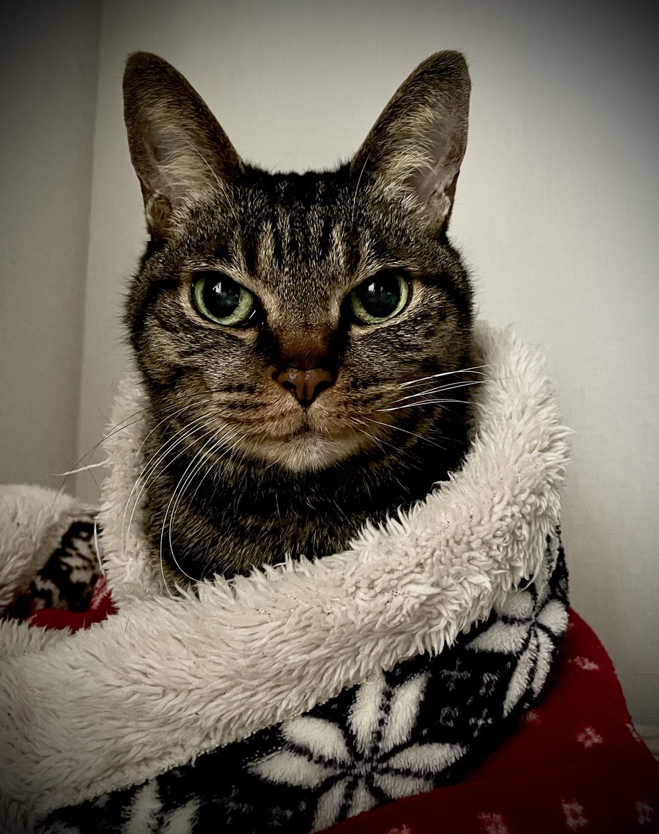 BPM4403◆のぶ太 tweet media