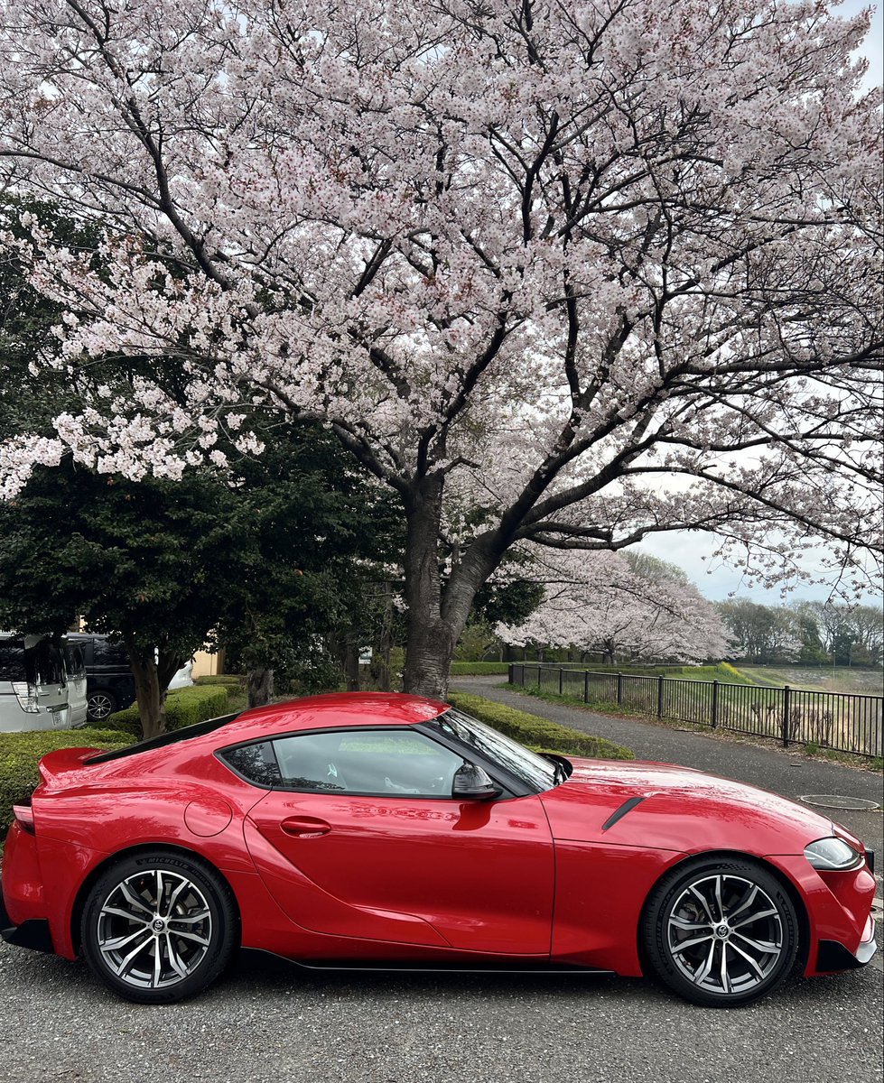 みゅうー tweet media