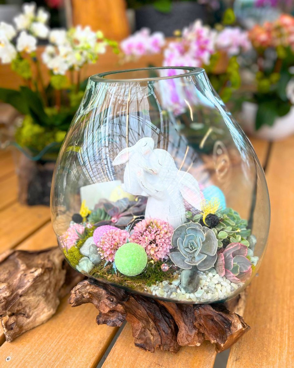 Hicks Nurseries tweet media