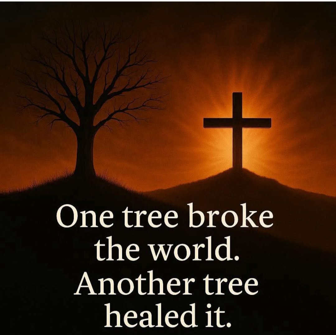 Jake@fire ❤🤍💙 tweet media