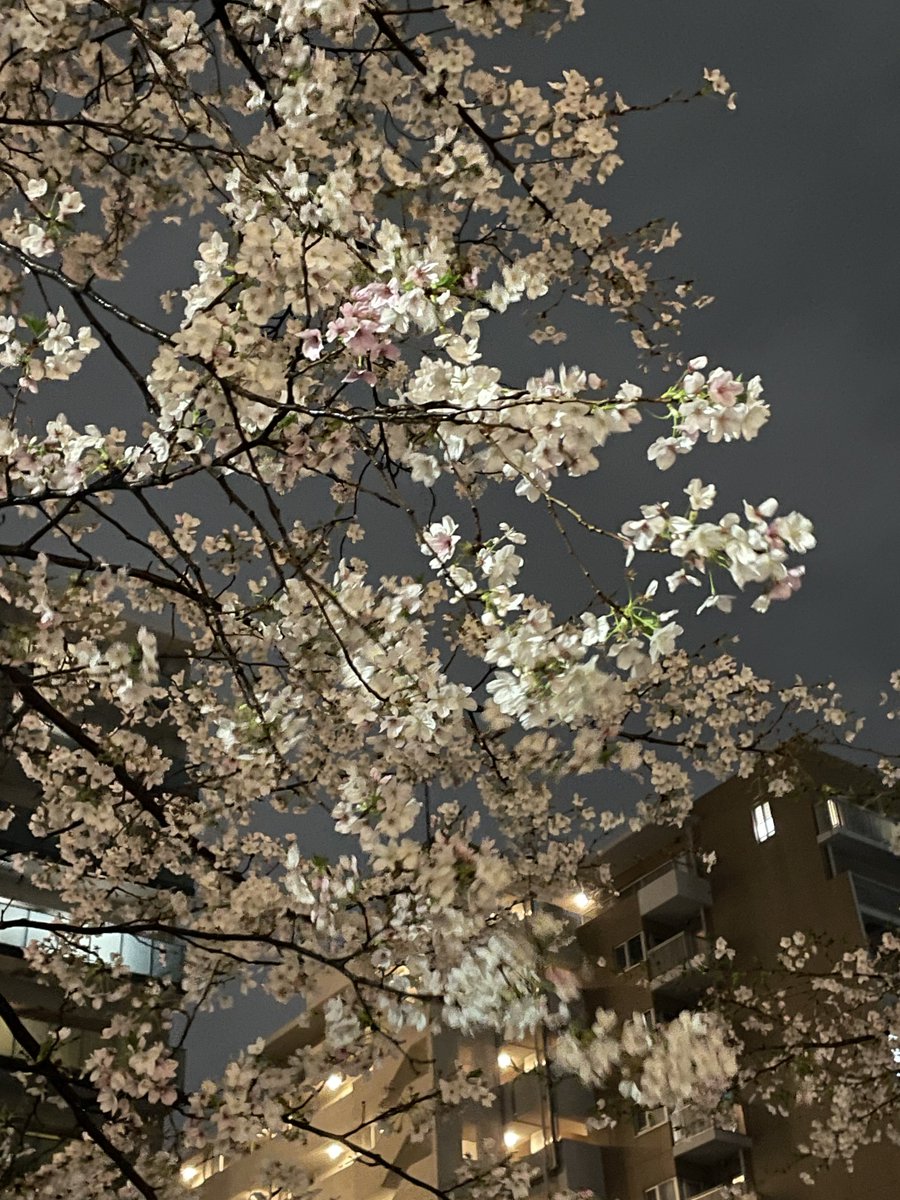 ๐๐ฏ๐ฏ๐ช๐ฆ tweet media