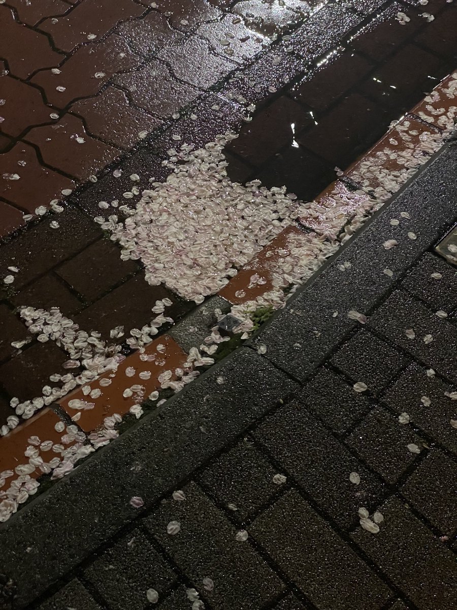 ๐๐ฏ๐ฏ๐ช๐ฆ tweet media