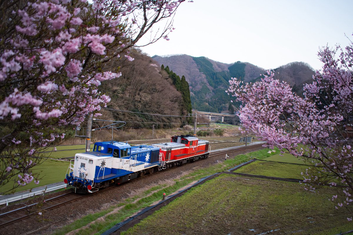2026/4/2〜3
京都鉄博展示輸送
配9870〜配9322
DD51 1193[宮]+DE10 1161[米]

日中の部

おまけのDD51 1186[米]+ホキ2