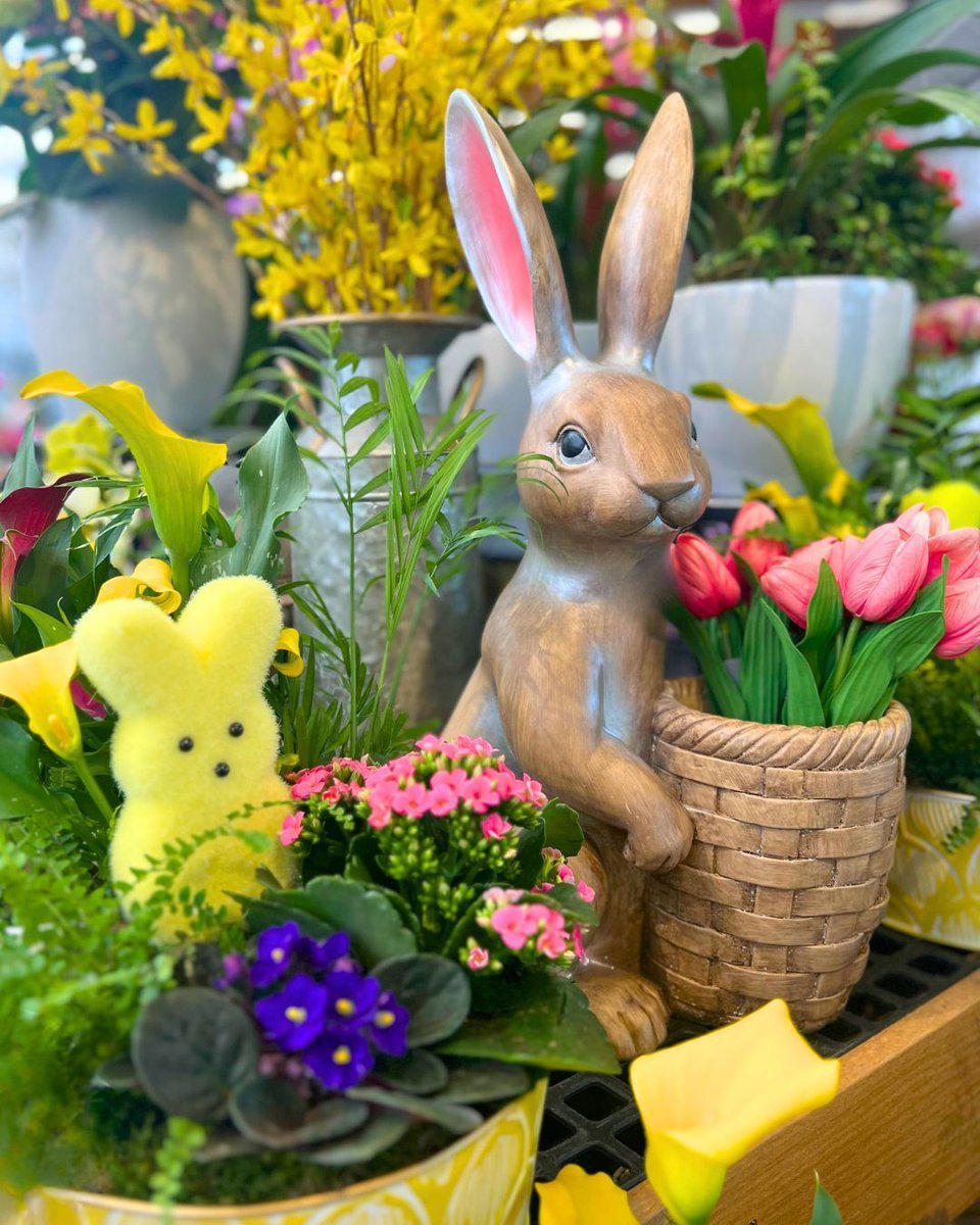 Hicks Nurseries tweet media