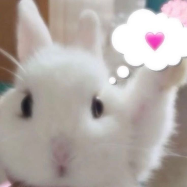 selfolssi ♤ tweet media