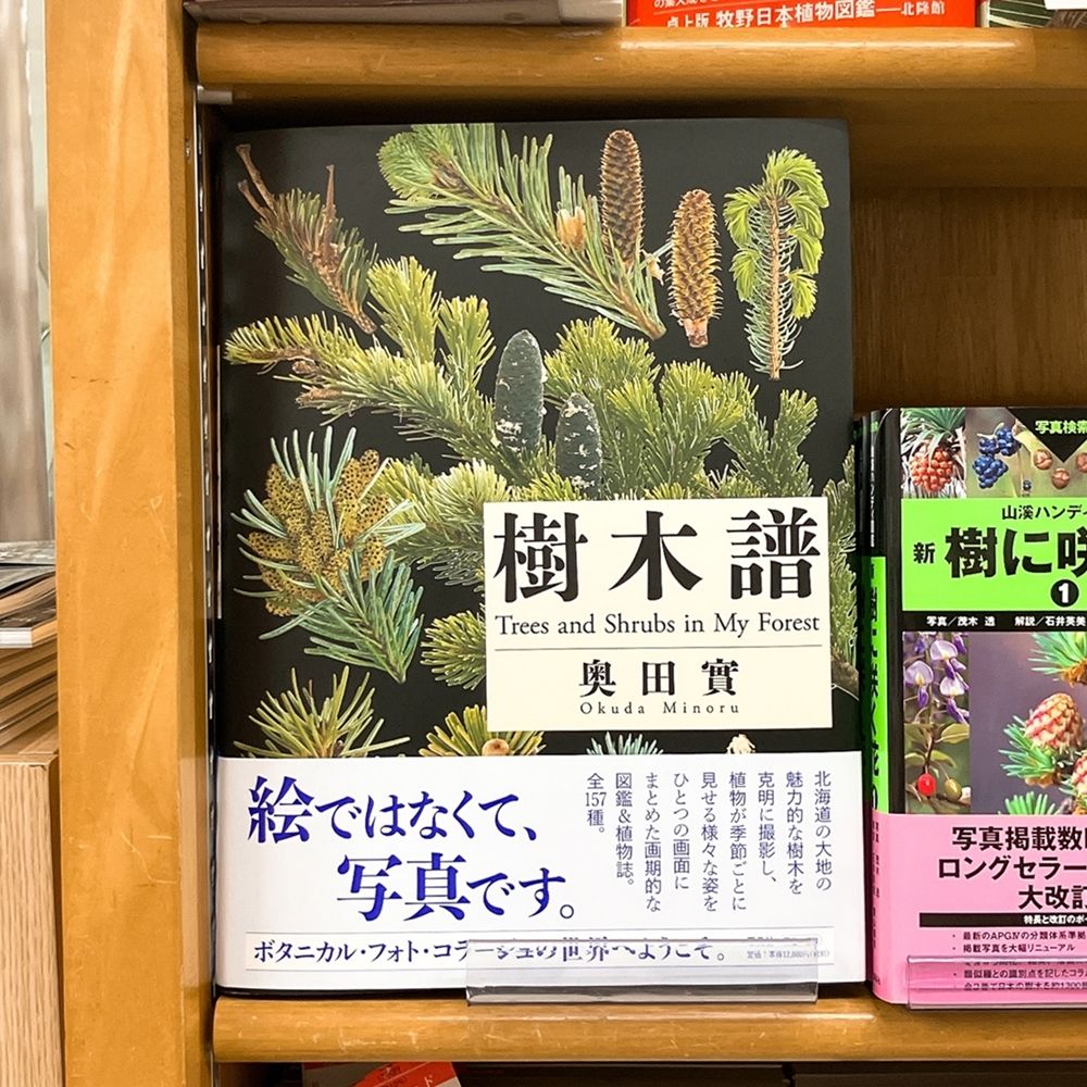 気になる本】『樹木譜』奥田實 157種を徹底解剖。生命の「時間」を写真