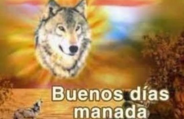 ꪜꪖꪶꫀꪑ୨ৎ RT AL FIJADO 📌 tweet media