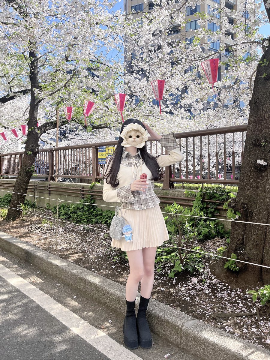 新木るの【パラディーク】 tweet media