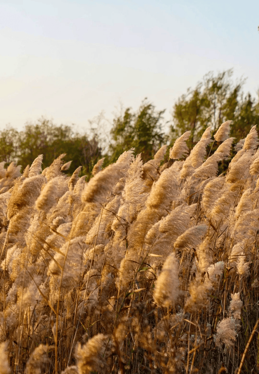 Ryan Ballard tweet media