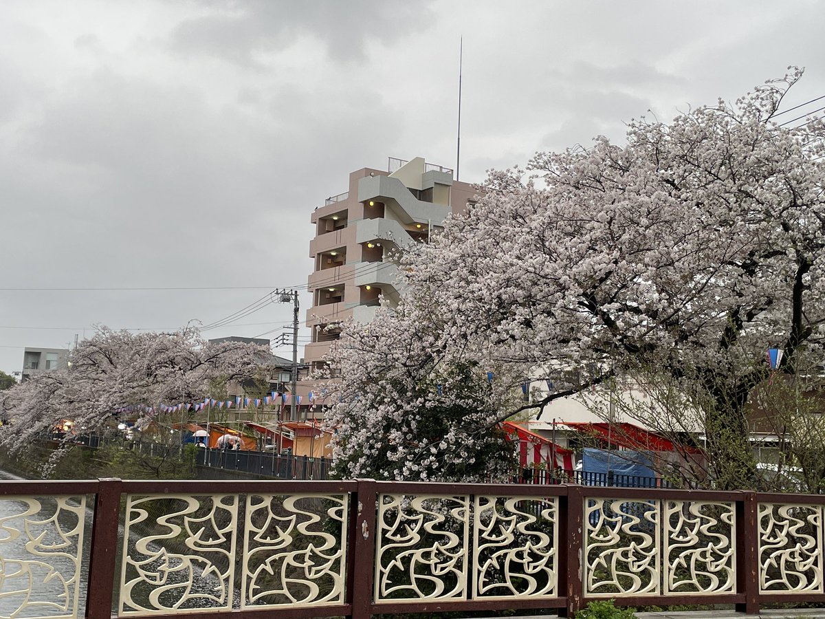 パリイ tweet media