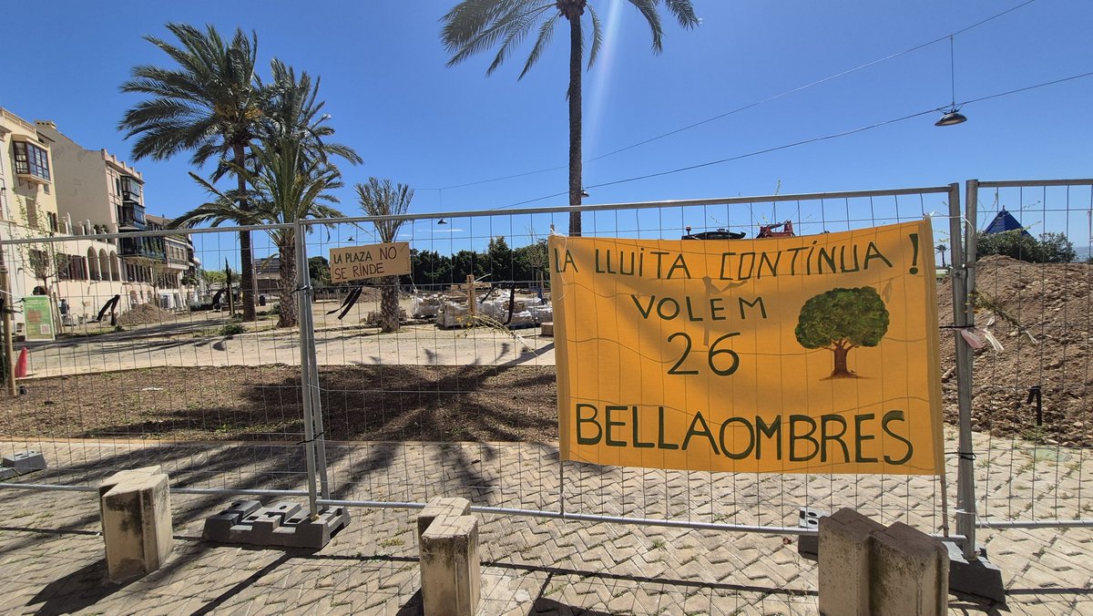 Mateu Ramonell tweet media