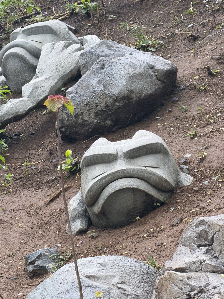 もふ汰🐿️🌼 tweet media