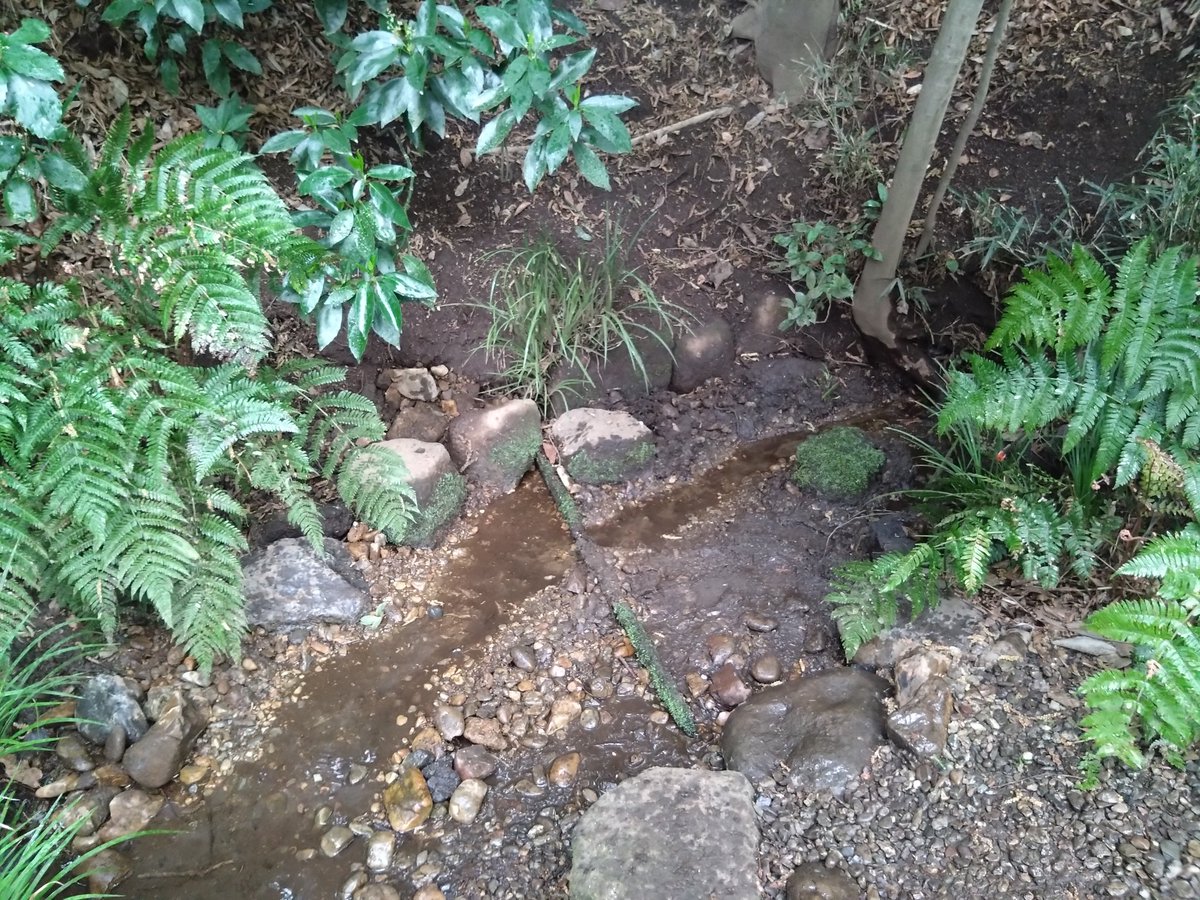 林田慎吾 tweet media