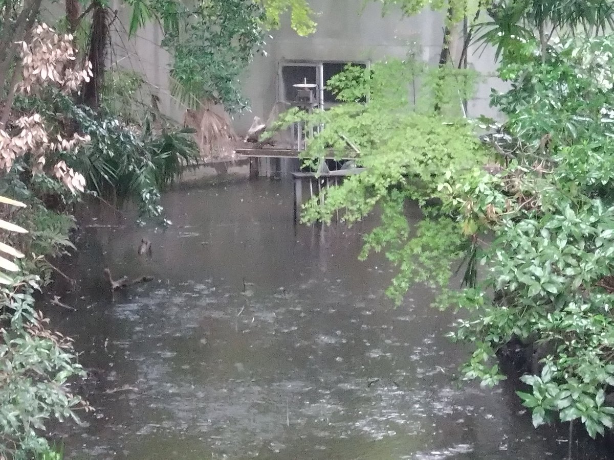 林田慎吾 tweet media