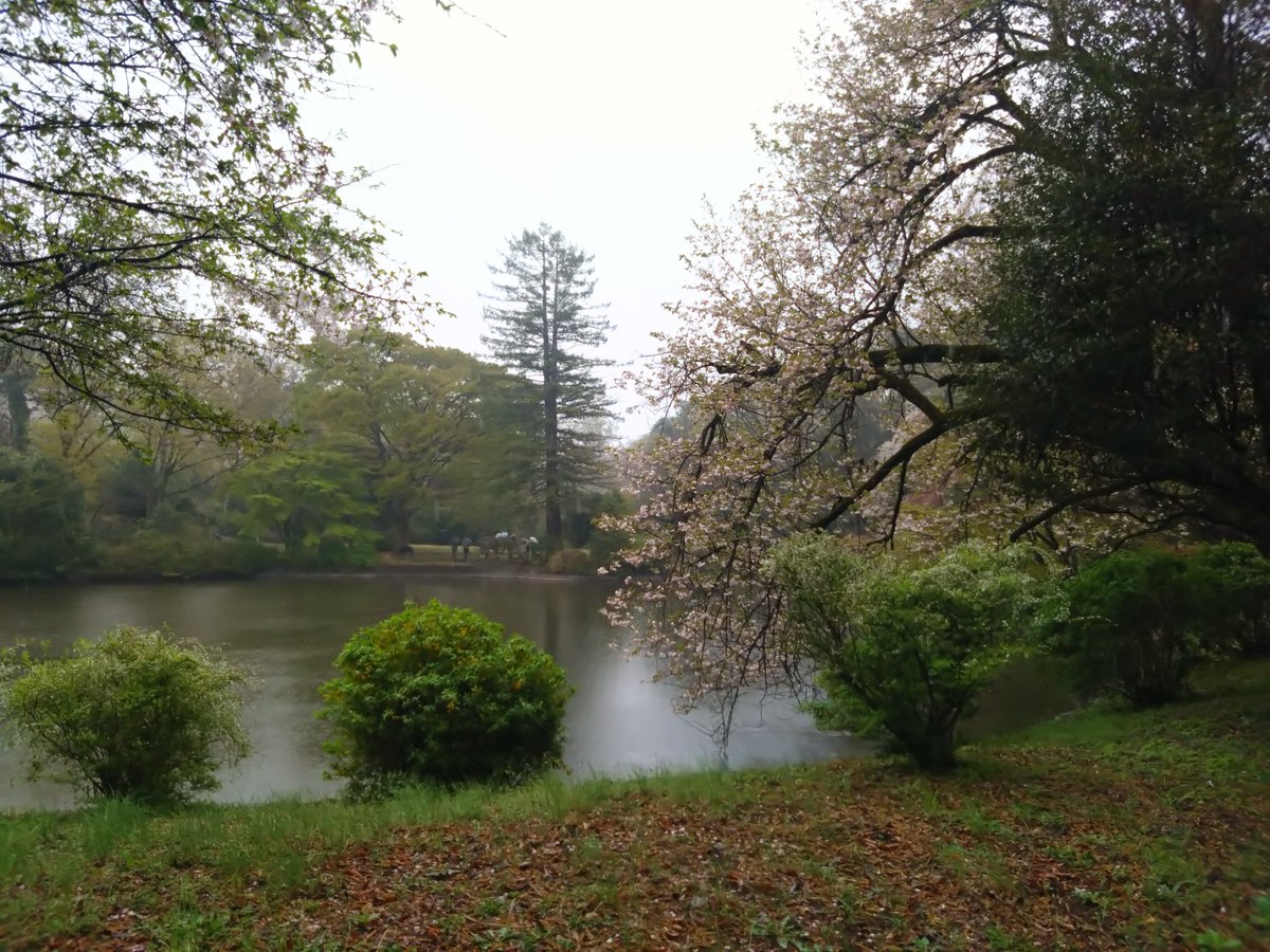 林田慎吾 tweet media