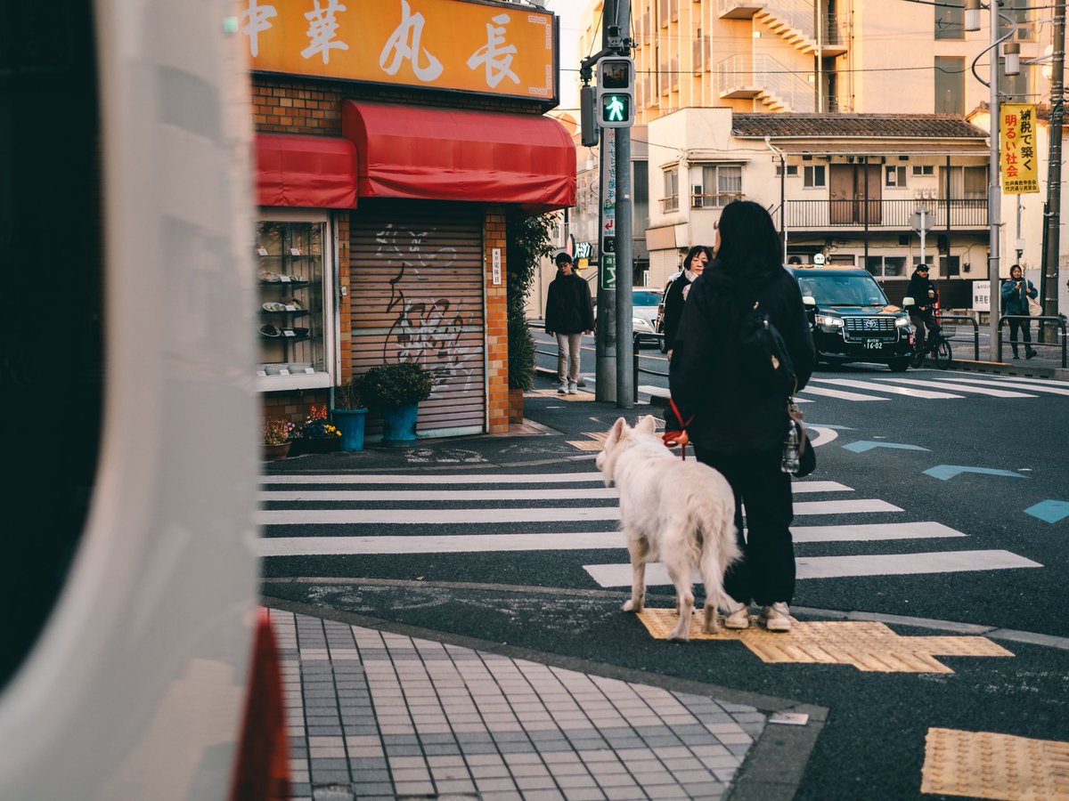 Enterlog-えんたログ tweet media