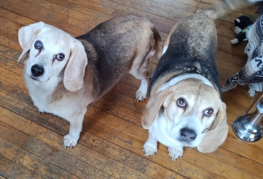 Ferguson y Jasper tweet media