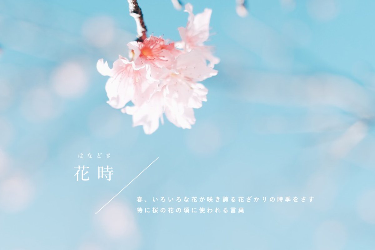 あえかなる星の住処 tweet media