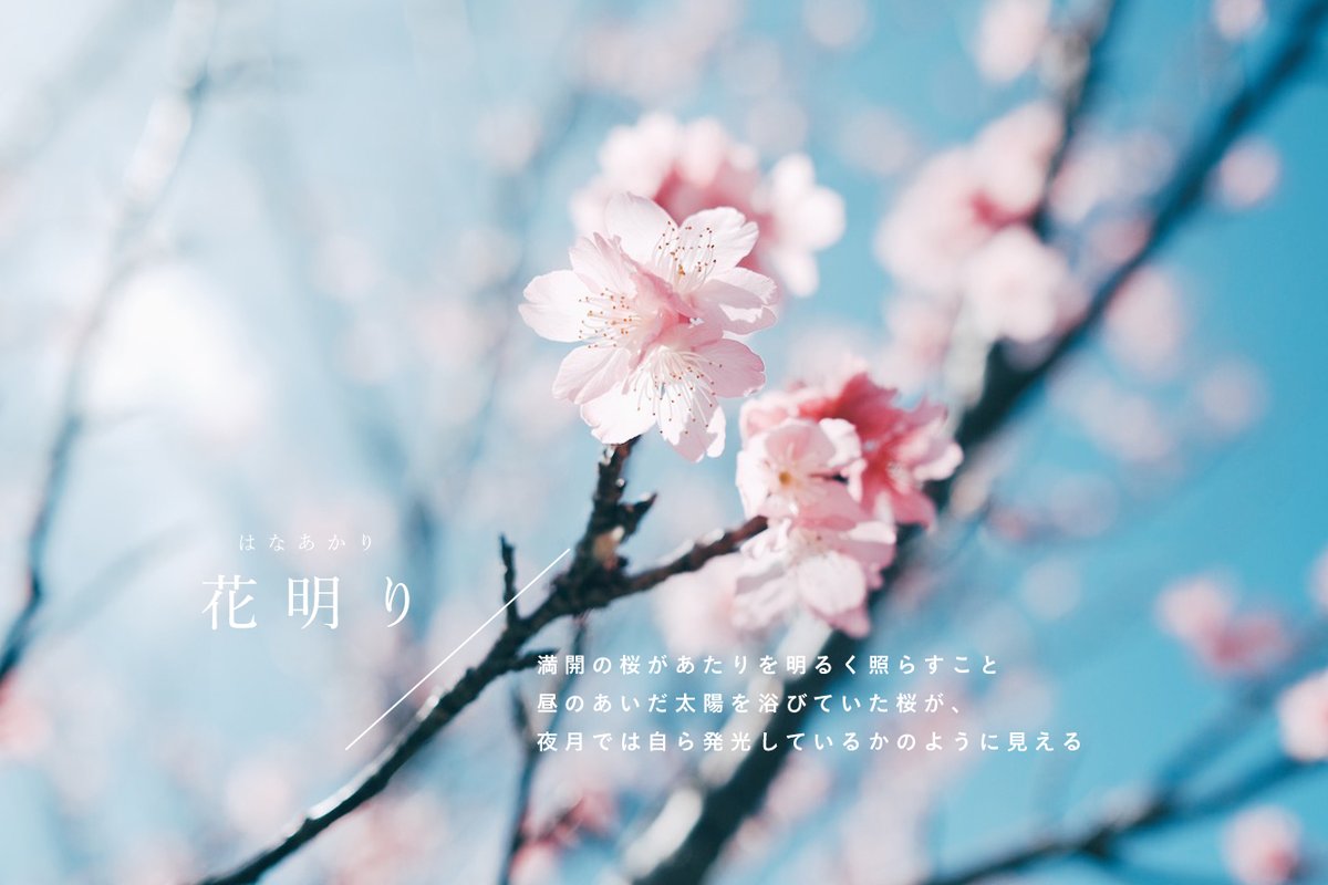 あえかなる星の住処 tweet media