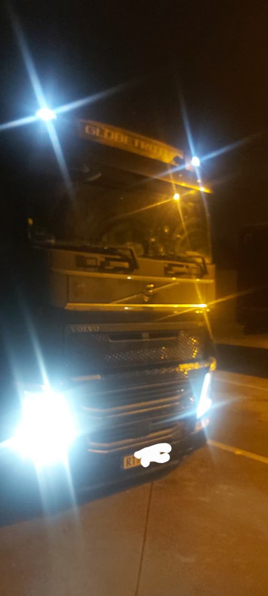 AlfaYankeeKiloOscar🌳 tweet media