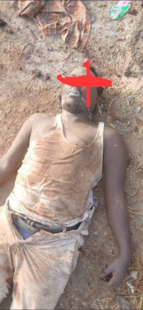 Seydi Gassama tweet media