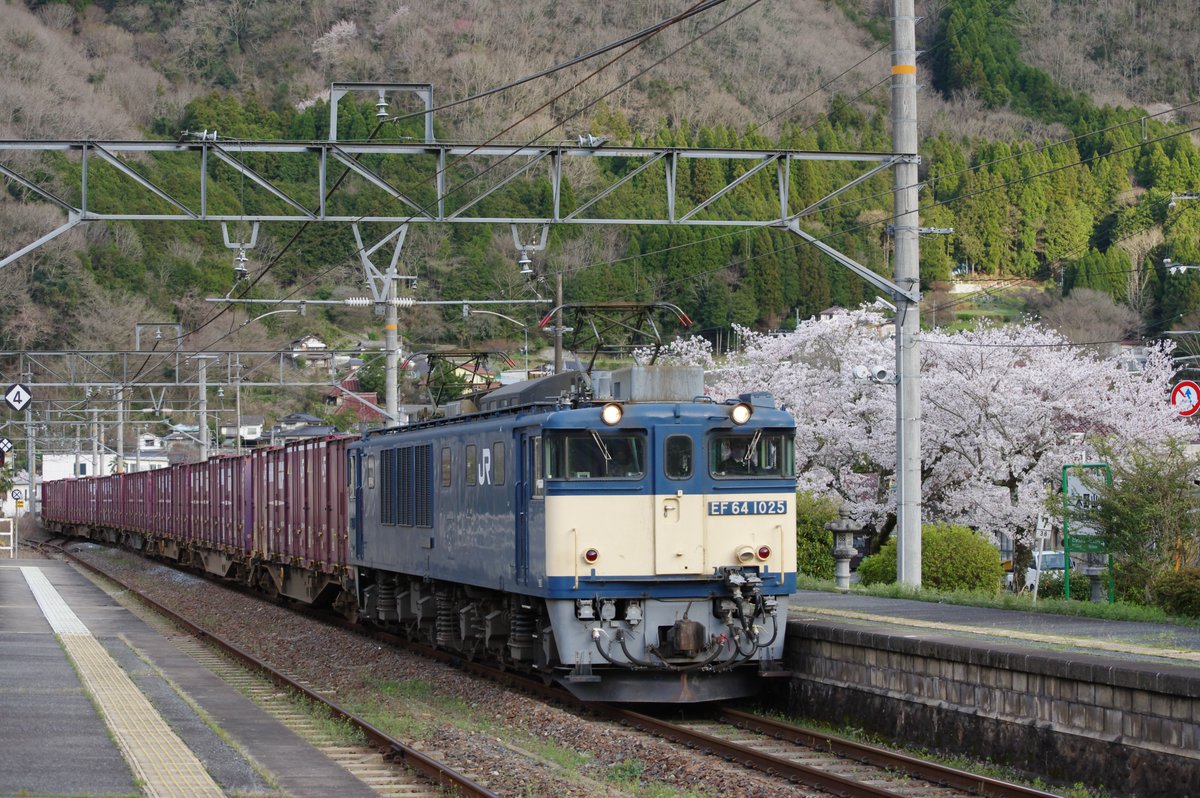JSTM_135E's tweet photo. 山男がこの駅の桜に見送られるのも今年が最後になるかもしれないと夕方の下り貨物を待った。春分も過ぎ日の入りが遅くなったとはいえ好条件というわけでもないので、記録できればいいかとあまり期待はしていなかったが、自分としては思いのほか満足のいく結果となった。
2026.3.31　3081レ　木野山駅 https://t.co/0QXMa2veHu