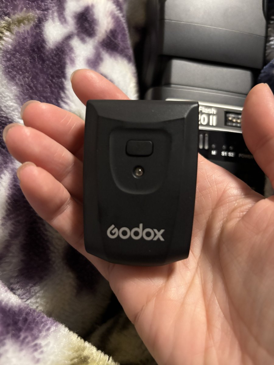 🌳矢最(ｼｻｲ) tweet media