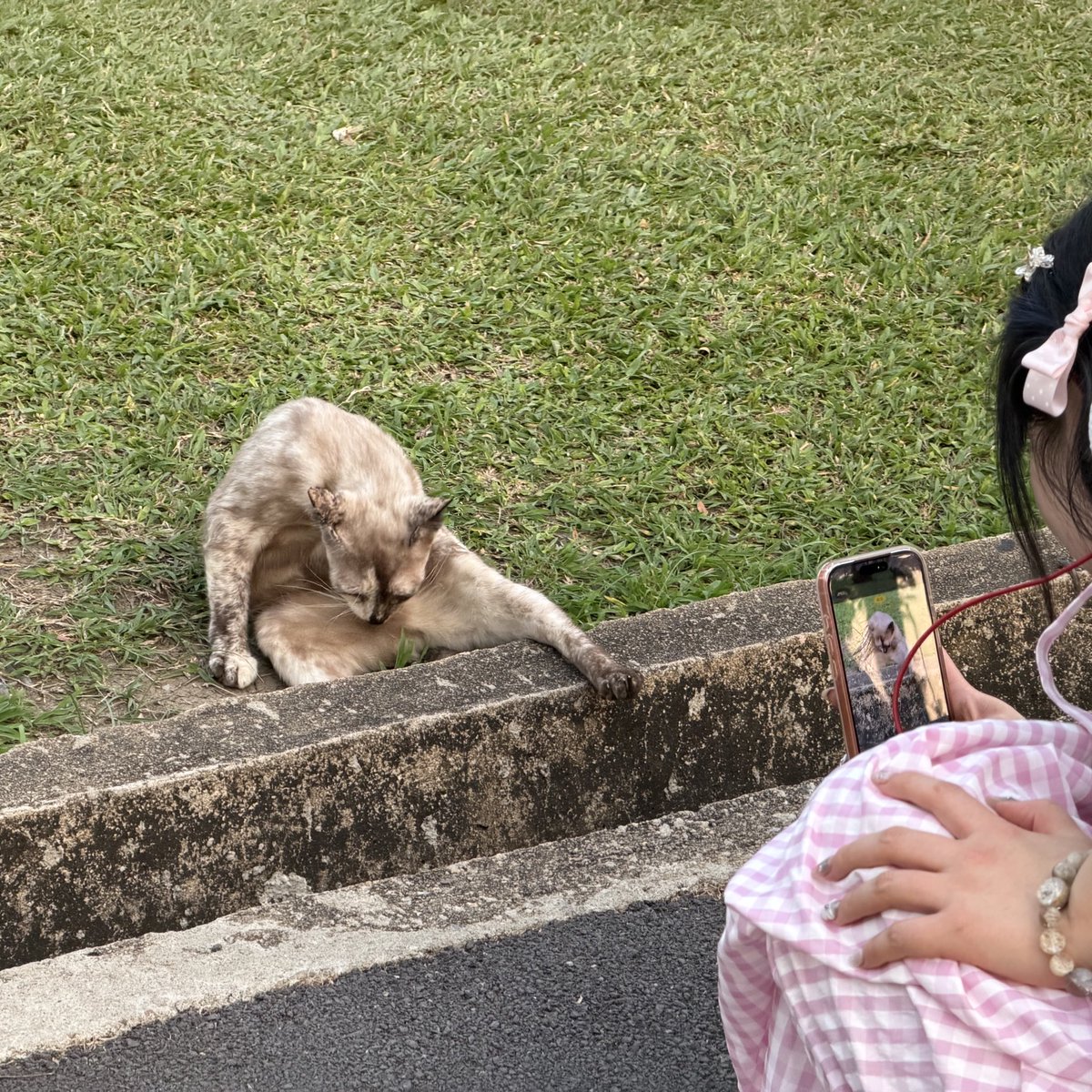 🏳️‍🌈 CHERSAN SRISATJANG ✈️ tweet media