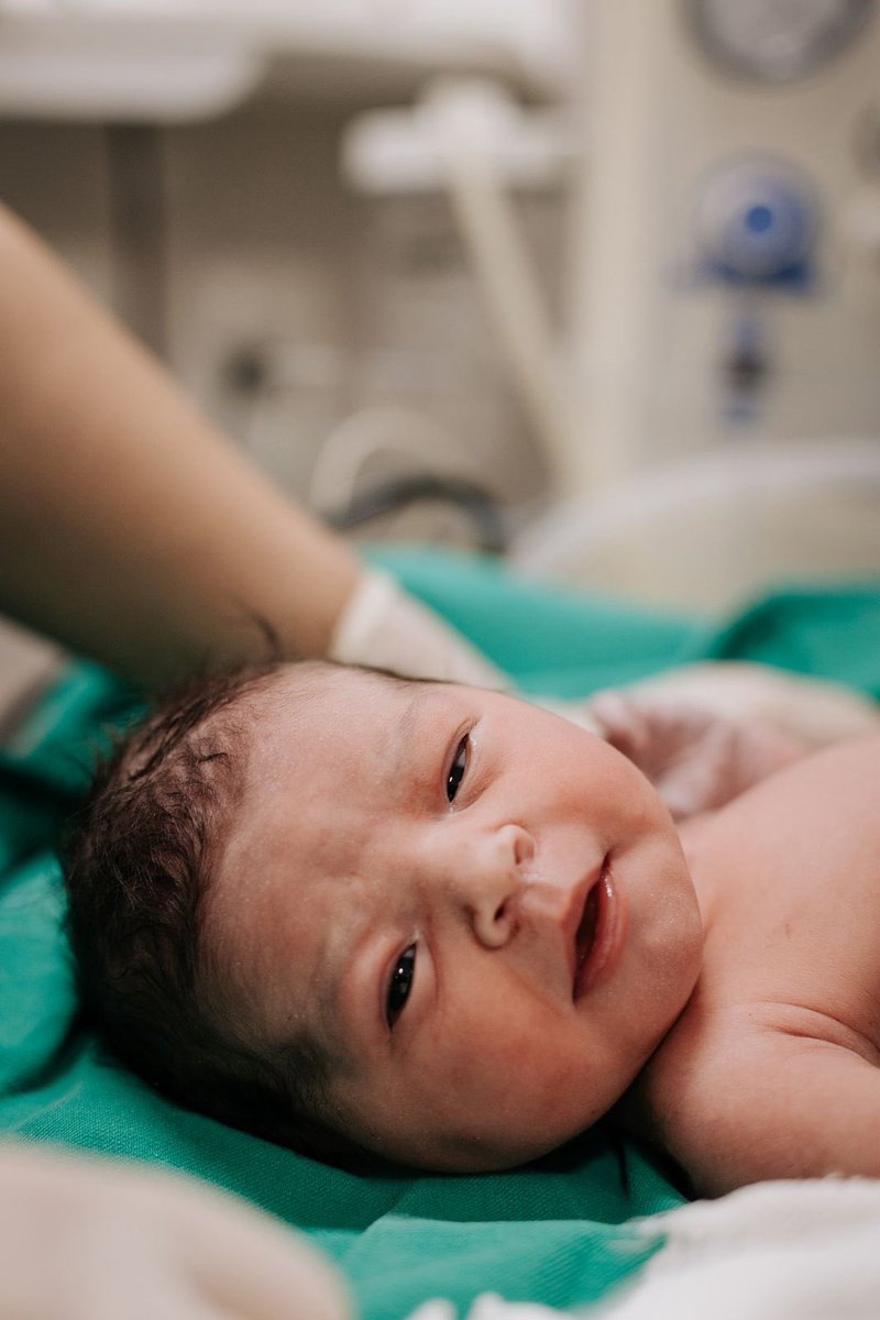 Portal funBABE tweet media