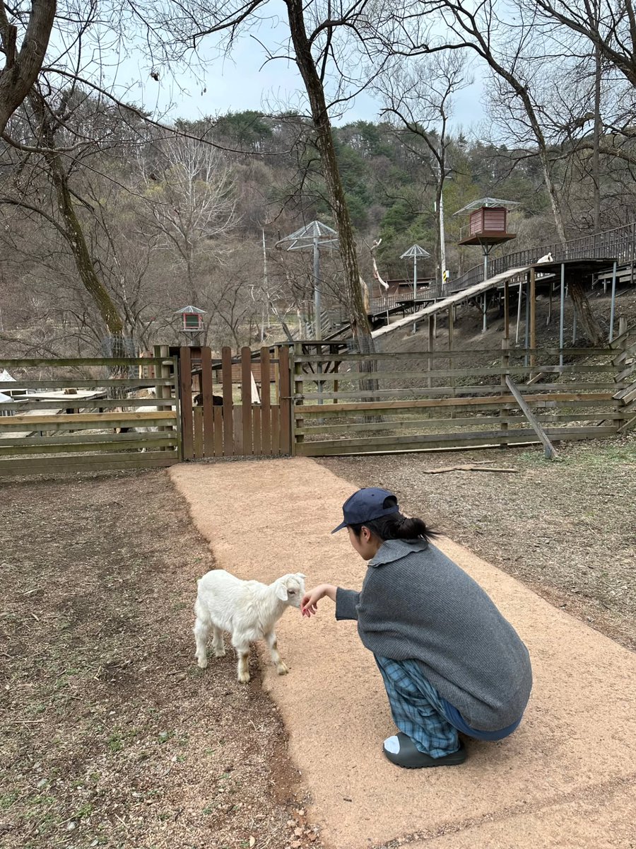 🦋🐶오예wi🐱🦊 tweet media