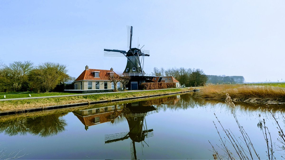 Ed v. Pelt tweet media