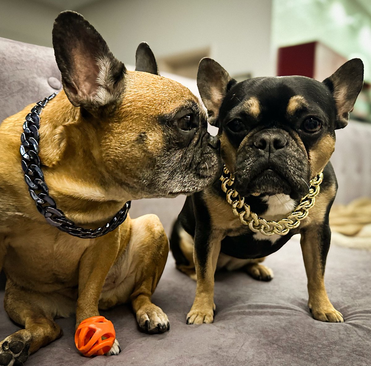 Pinot & Merlot tweet media