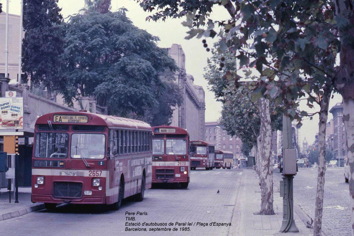 Pere París tweet media