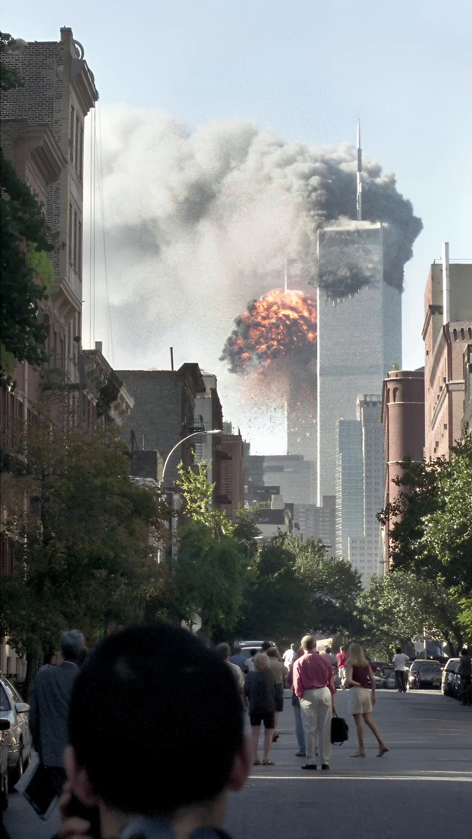 Ultra MAGA Joyce Day tweet media