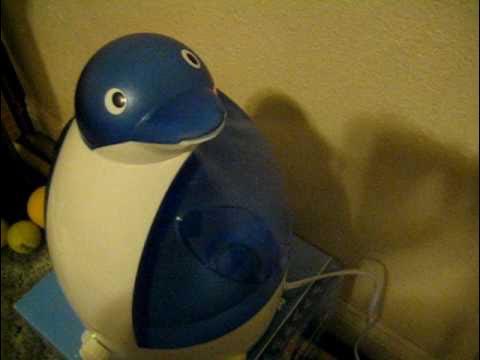 Dani 🍎🍀 tweet media