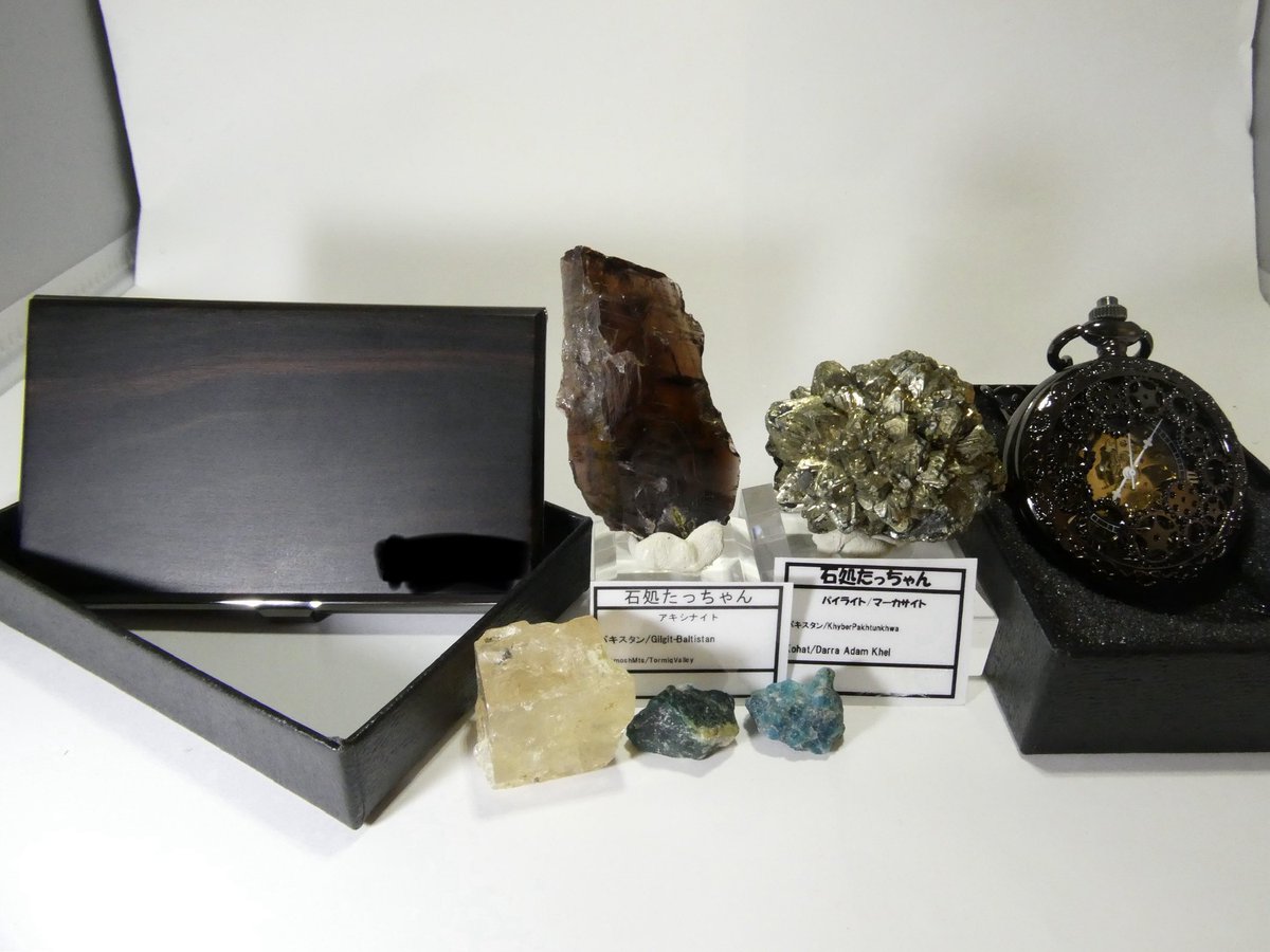 天秤亭てみす🐚 tweet media