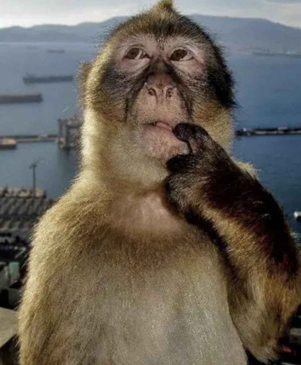 Billa the Gentleman tweet media