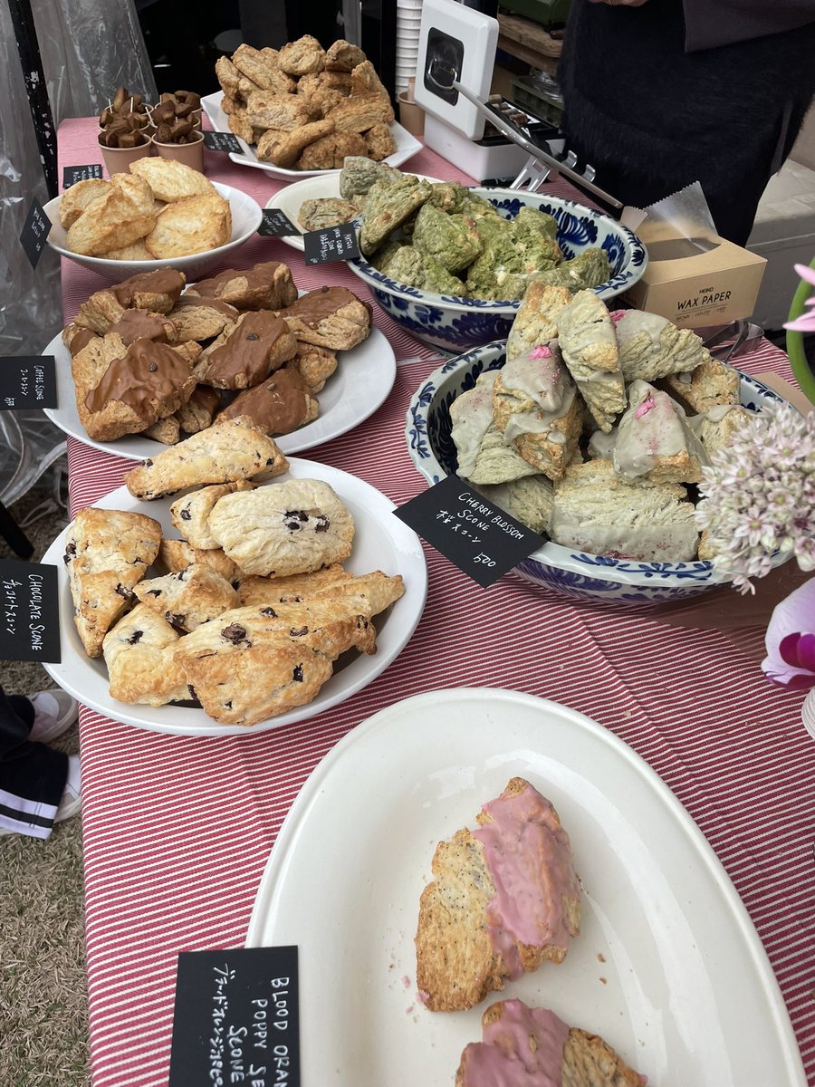 マッシ｜エッセイスト tweet media