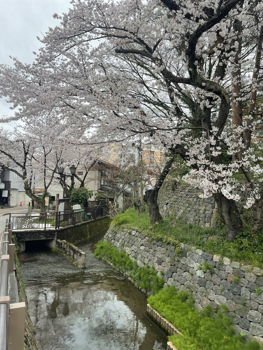 マッシ｜エッセイスト tweet media