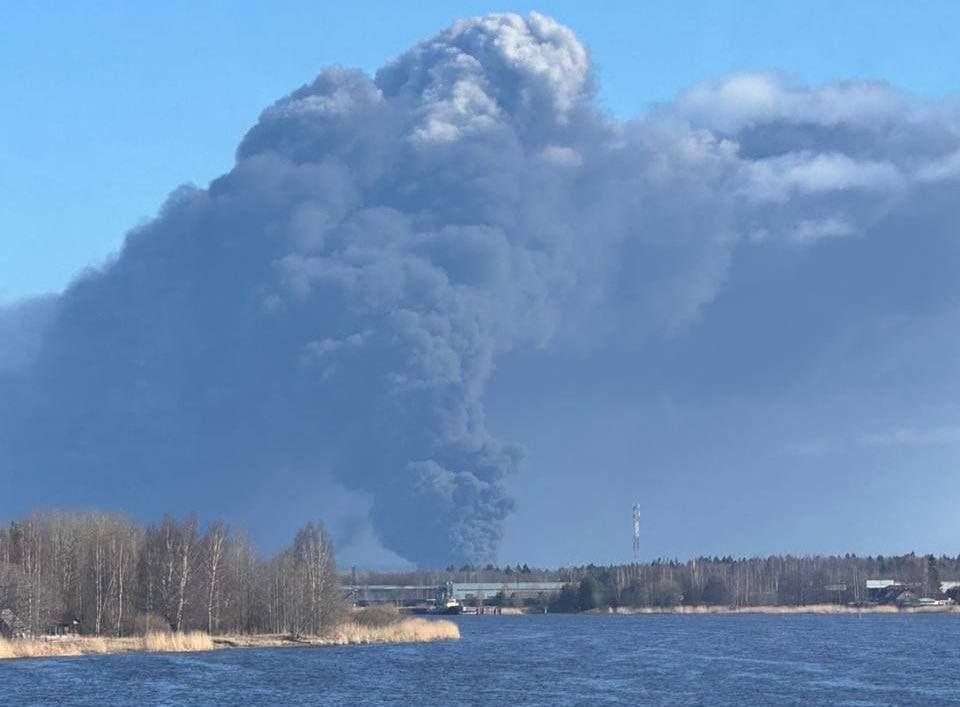 Visioner tweet media