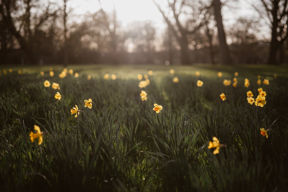 Leontine Dunkerson tweet media