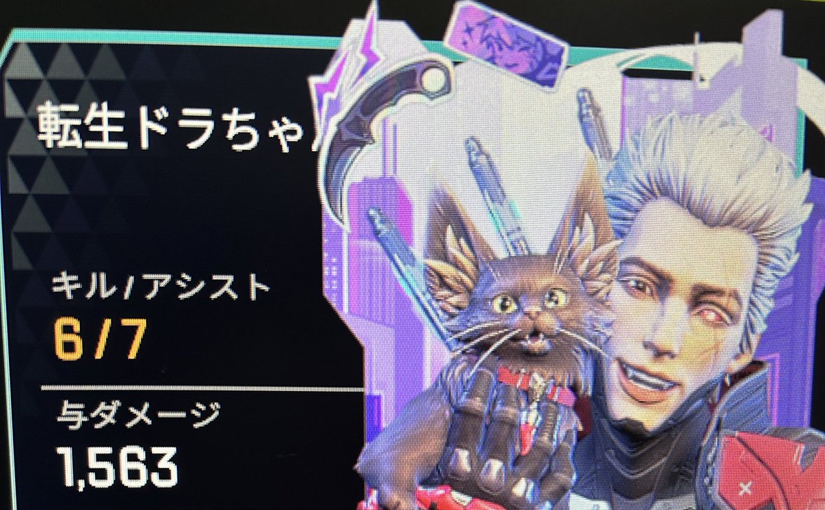 桜島李🐈‍⬛🌸 tweet media