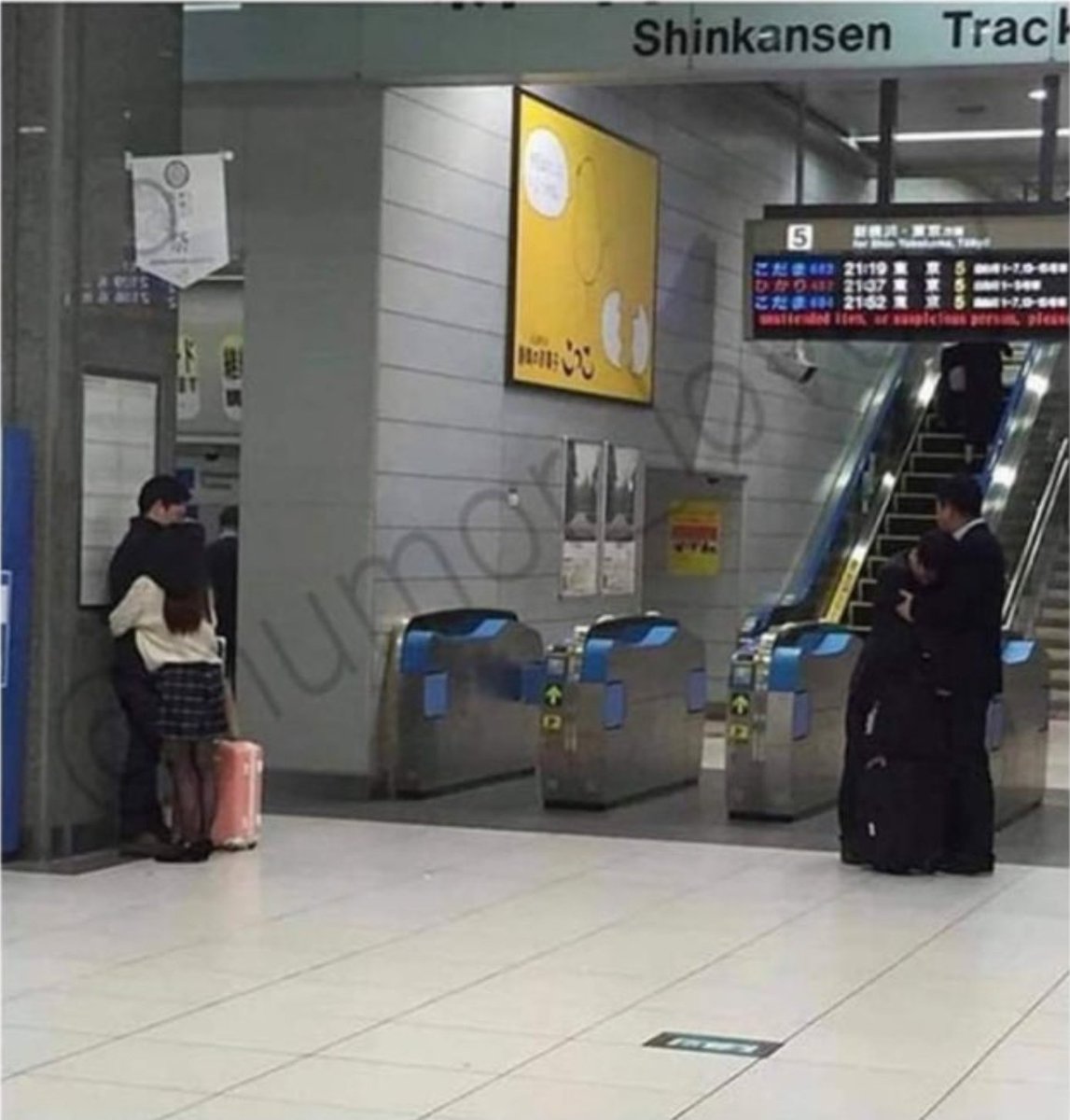 송이송송이 tweet media