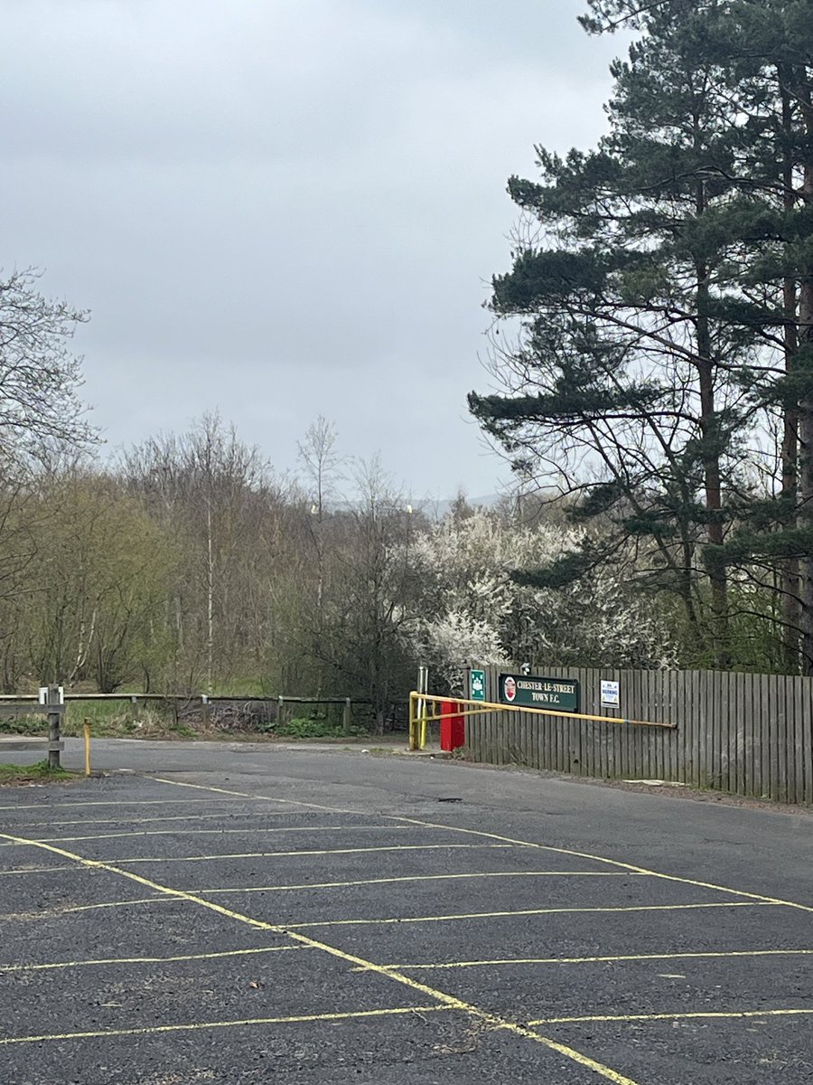 Chester le Street Town FC tweet media