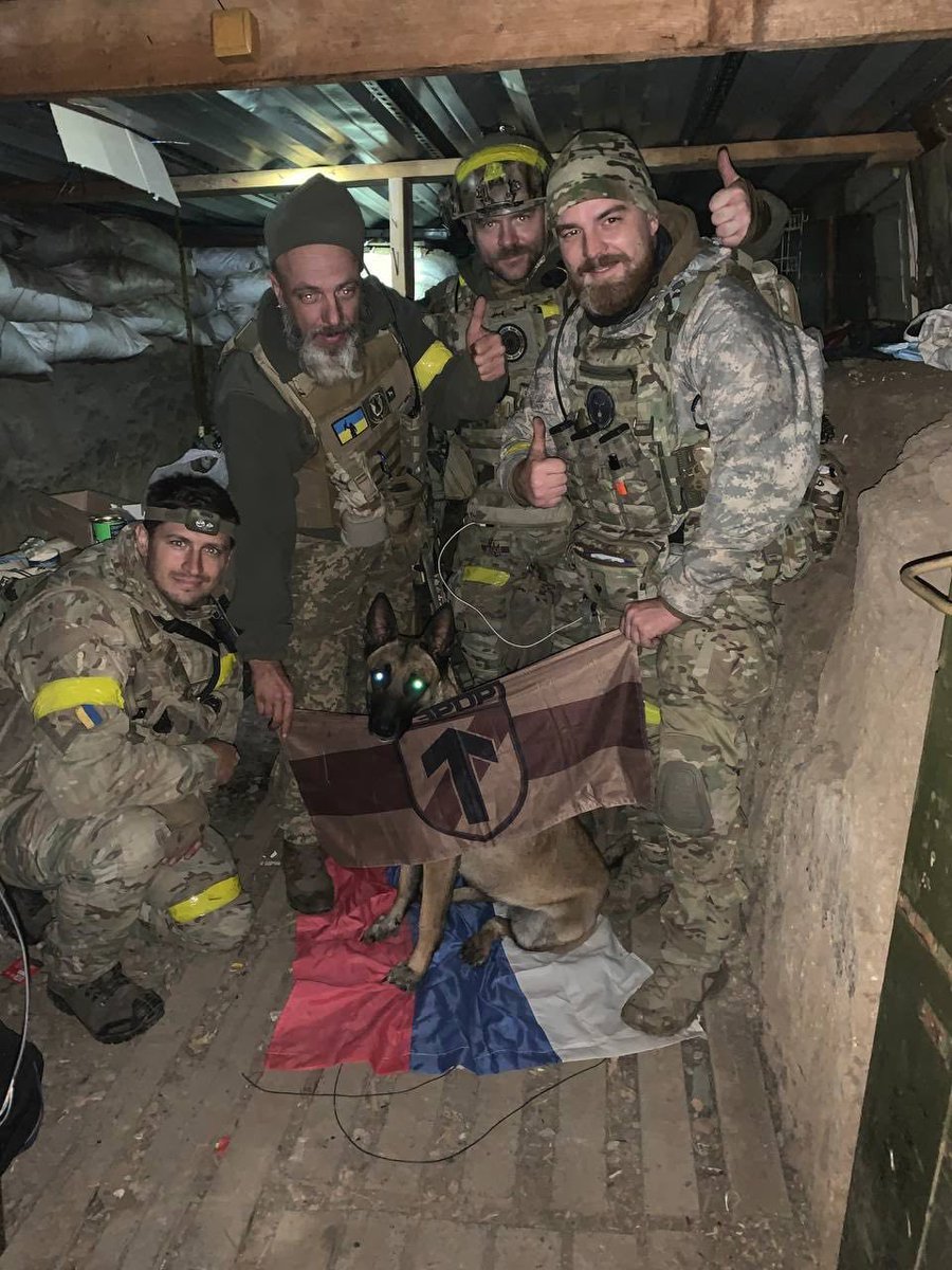 Indra Sprance tweet media