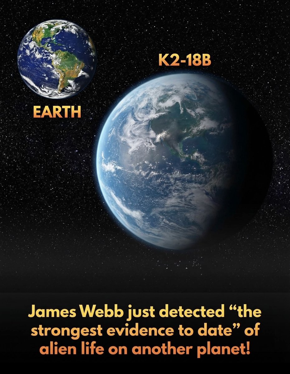 Night Sky Now tweet media