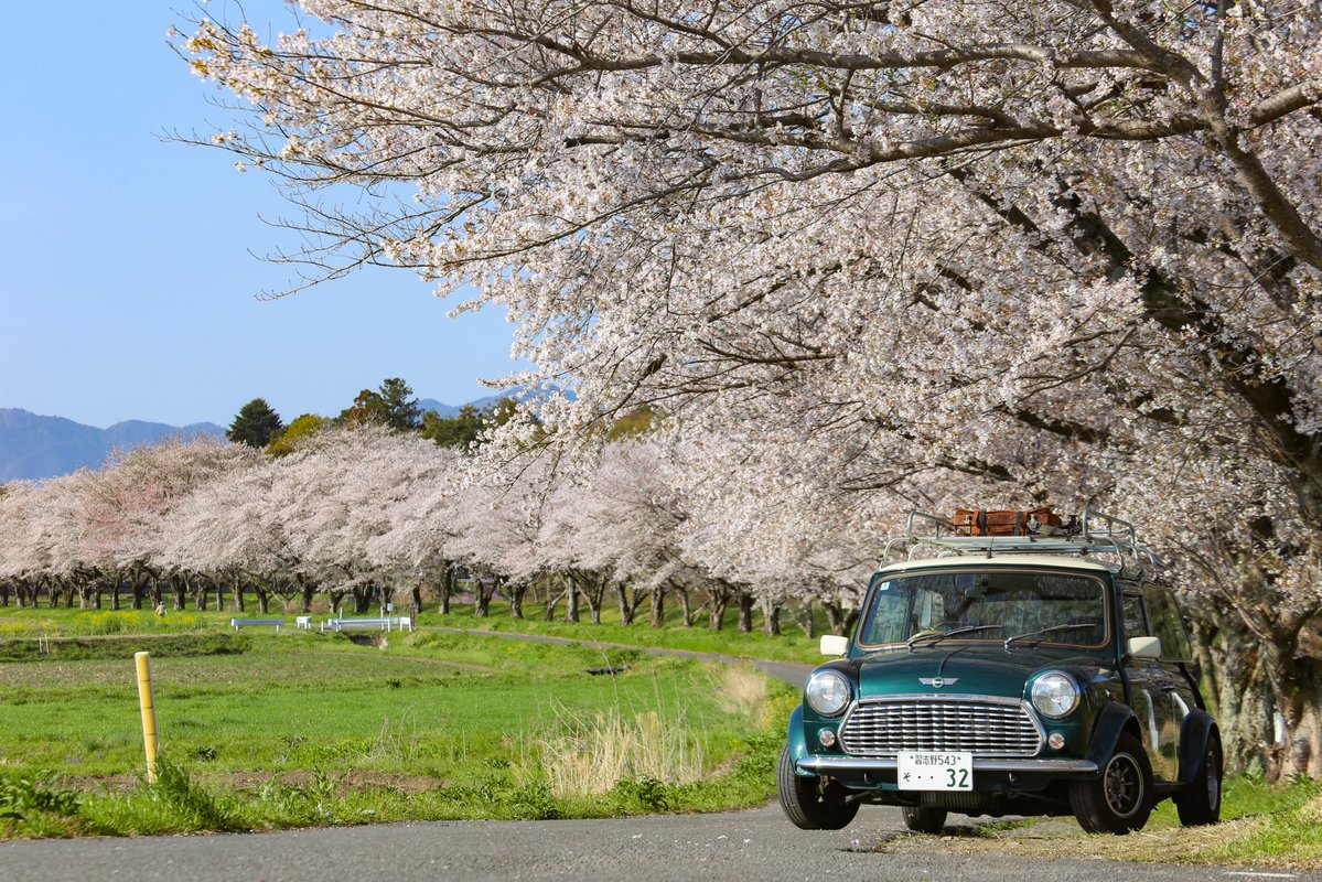 HayneRyo tweet media